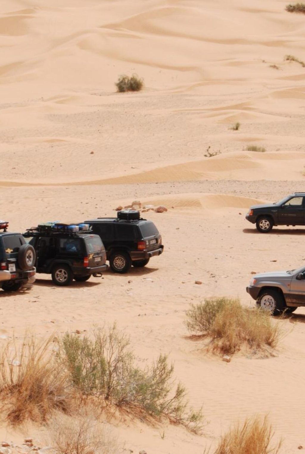 Alquilar Coche clásico para eventos.
